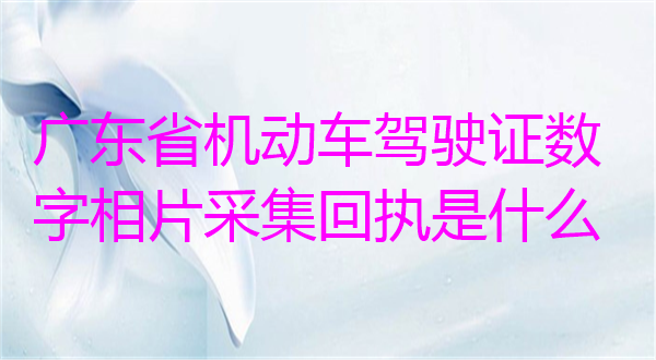 广东省机动车驾驶证数字相片采集回执是什么？