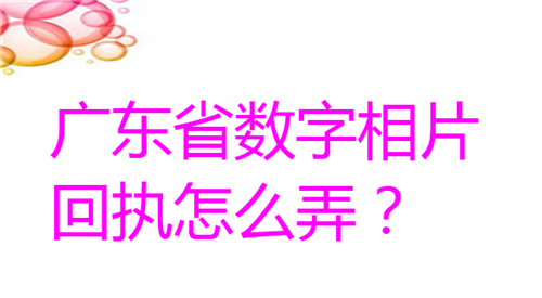 广东省数字相片回执怎么弄？