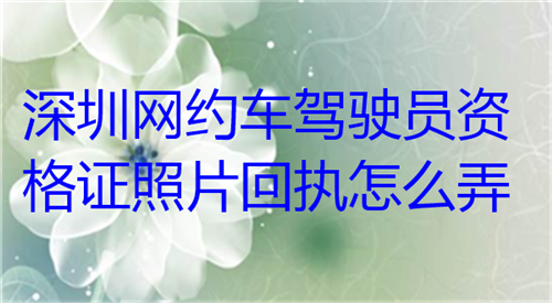 深圳网约车驾驶员资格证照片回执怎么弄？