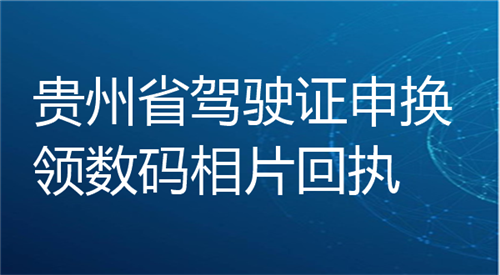 贵州省驾驶证申换领数码相片回执