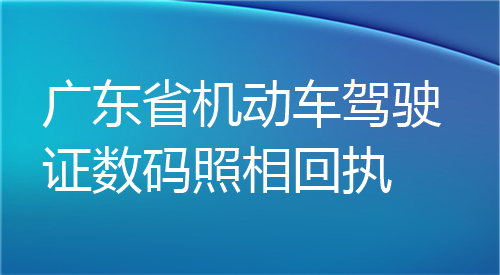 广东省机动车驾驶证数码照相回执