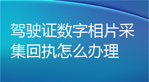 驾驶证数字相片采集回执怎么办理？