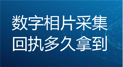 数字相片采集回执多久拿到