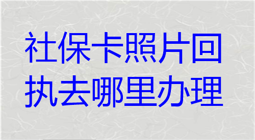 社保卡照片回执去哪里办理？