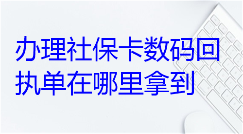 办理社保卡数码回执单在哪里拿到