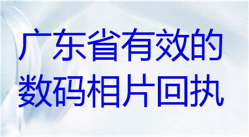 广东省有效的数码相片回执