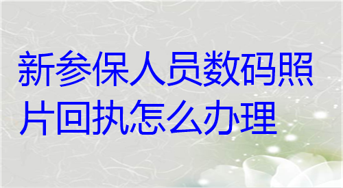 新参保人员数码照片回执怎么办理