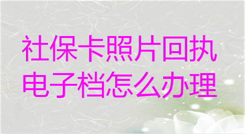 社保卡照片回执电子档怎么办理