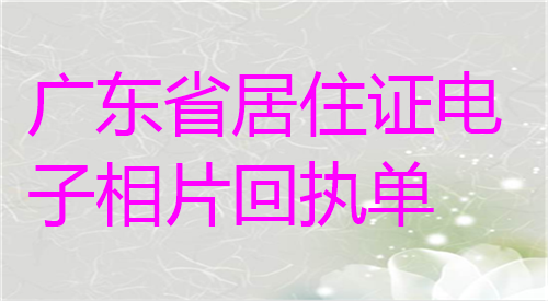 广东省居住证电子相片回执单