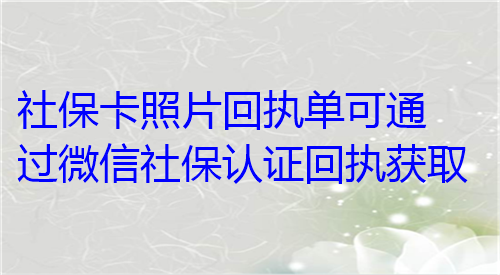 社保卡照片回执单可通过微信社保认证回执获取