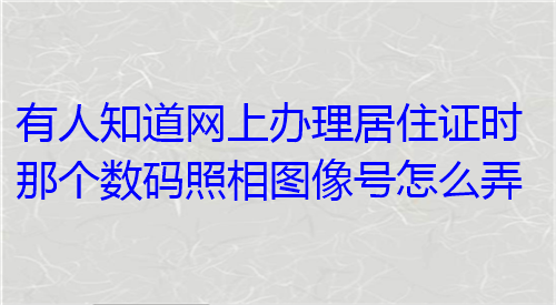 有人知道网上办理居住证时那个数码照相图像号怎么弄