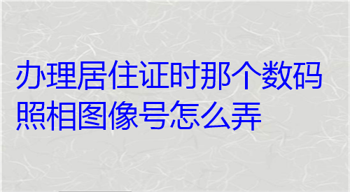 办理居住证时那个数码照相图像号怎么弄