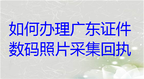 如何办理广东证件数码照片采集回执