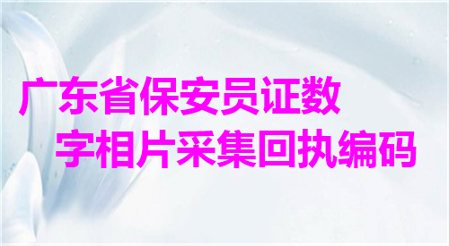 广东省保安员证数字相片采集回执编码